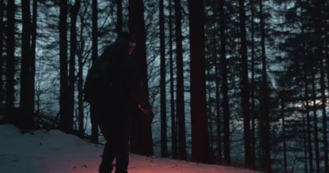 Hiker with flashlight walking inside deep snowy forest at dusk, slow motion Stock Footage 241470776