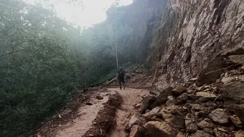 Hiker Stock Footage 212103297