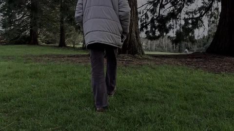 Hiker Video stock 292667249