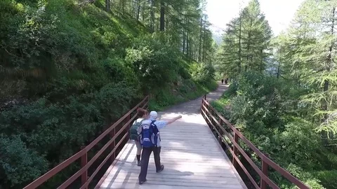 Hiker in forest on a bridge Stock Footage 77953787