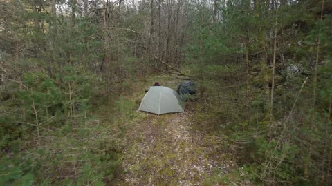 Hiker in forest finding a green tent pitched in a Norwegian coniferous forest on Video stock 335199345