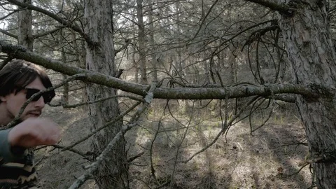 Hiker in forest Stock Footage 88836416