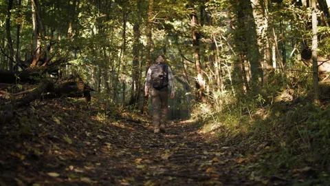 A hiker in the forest Stock Footage 137757429