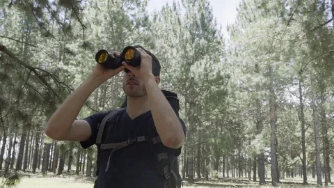 Hiker in forest looking through binoculars Stock Footage 75199532
