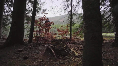 Hiker in the forest path Stock Footage 62083071
