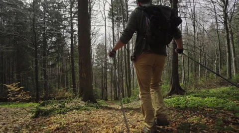 Hiker in the forest path Stock Footage 62083295
