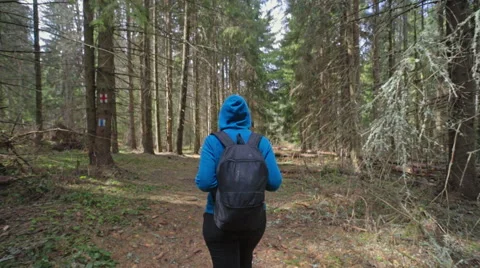 Hiker in the forest path Stock Footage 62083443