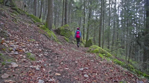 Hiker in the forest path Stock Footage 62083560