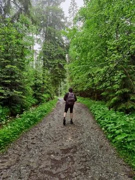 Hiker on a Forest Path Foto stock