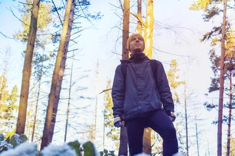 Hiker in the forest Stock Photos