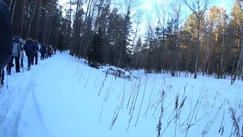 Hiker in the forest in winter Stock Footage 117571321