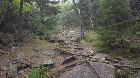 Hiker going up a trail Stock Footage 46040593