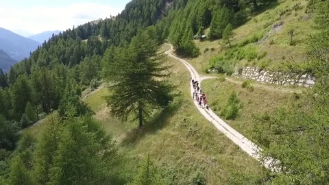 Hiker group on mountain path Stock Footage 77952495