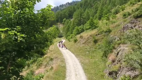 Hiker group on mountain path Stock Footage 77953760