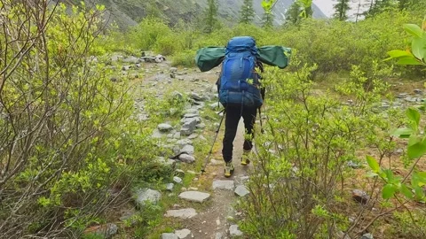 Hiker with a large backpack is walking along a mountain trail Stock Footage 246292101