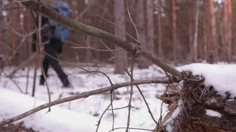Hiker with a large backpack walking through a snow-covered forest, backgroun Stock Footage 211689511