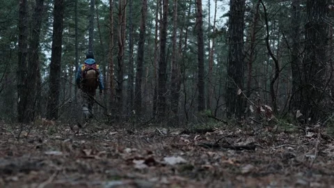 A hiker with a large backpack walks through a dense forest, surrounded by tall Stock Footage 302725781