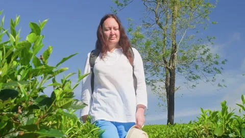 Hiker looking away while walking amidst tea plantation on sunny day Stock Footage 291498357
