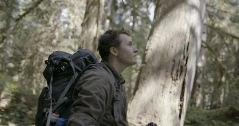 Hiker looking up through the binoculars in the forest Stock Footage 145277839
