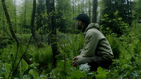 Hiker man bowing down in front of woods and looks at trees. Traveling, hiki.. Stock Footage 279515073