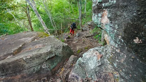 Hiker man climbing up in the forest Video stock 128213271