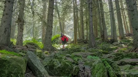 Hiker man Video stock 41676400