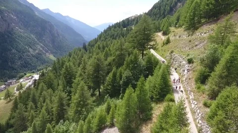Hiker on mountain path Stock Footage 77952194