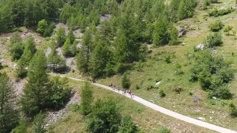 Hiker on mountain path Stock Footage 77952312