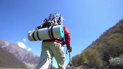 Hiker Moving Through Tree-Covered Mountain Path Video stock 303662422