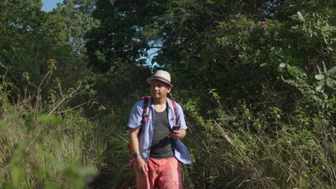 Hiker Navigating Through a Forest Trail Using a Smartphone Map Stock Footage 336220723