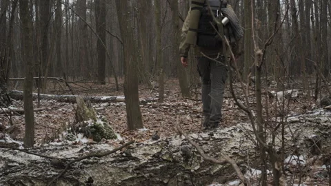 Hiker navigating through a winter forest with fallen tree obstacles Stock Footage 334365415