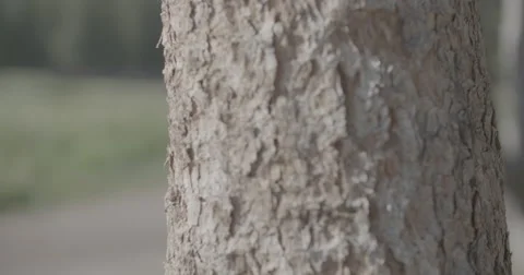 Hiker out of focus Stock Footage 65139049