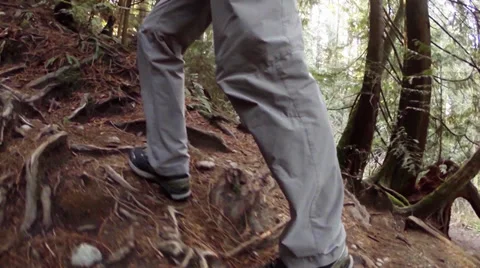 Hiker out walking Stock Footage 37038055