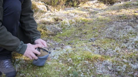 Hiker packing while resting on mossy forest ground Video stock 333690326