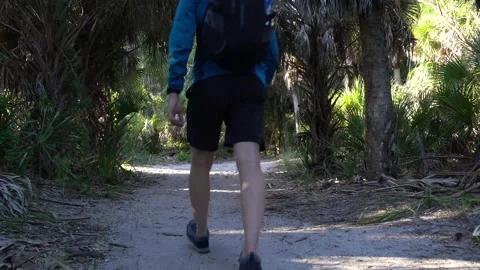 Hiker Passes Camera in Palm Forest Stock Footage 171949123