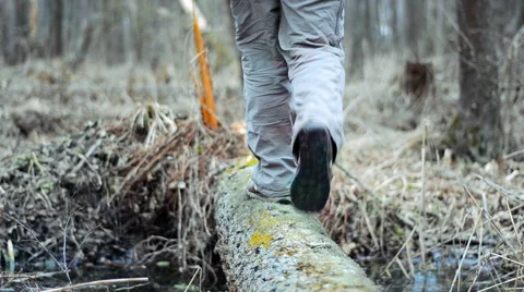 Hiker passes through a stream on a log. Stock Footage 61526147