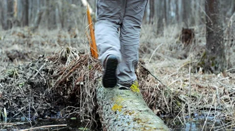 Hiker passes through a stream on a log. Stock Footage 61526830