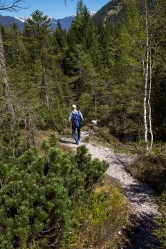 Hiker Stock Photos