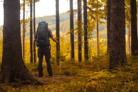 Hiker Stock Photos