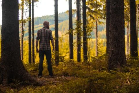 Hiker Stock Photos