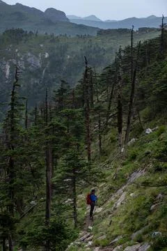 Hiker Stock Photos