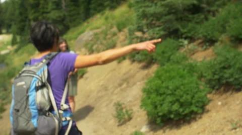 Hiker points out different plants Stock Footage 59454274