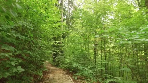 Hiker POV of mountain path paved with stone slabs through dense forest Stock Footage 72840476
