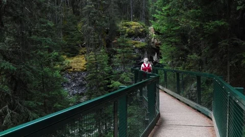 Hiker with red backpack on forest hiking trail, British Columbia, Canada. Stock Footage 252690213
