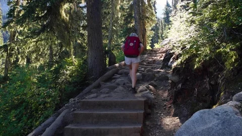 Hiker with red backpack on forest hiking trail, British Columbia, Canada. Stock Footage 252690609