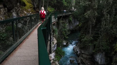 Hiker with red backpack on forest hiking trail, British Columbia, Canada. Stock Footage 252693157
