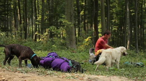 Hiker resting Stock Footage 61966815