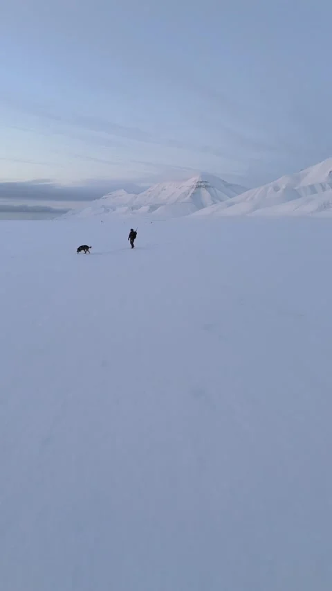 Hiker With Rifle and Leashed Dog Walking Across Svalbard Snowfield, Push Stock Footage 345635937