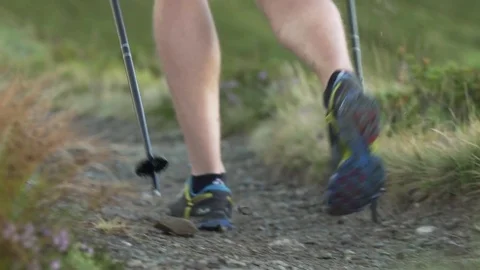 Hiker running on the forest path Stock Footage 76046475