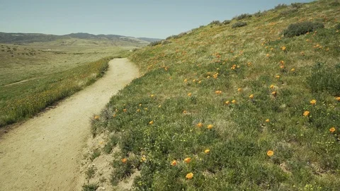 Hiker Selfie Path Stock Footage 82273578